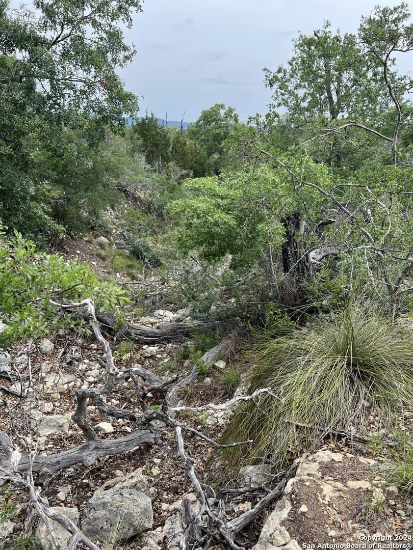 10.02 acres in Bandera County - photo 9