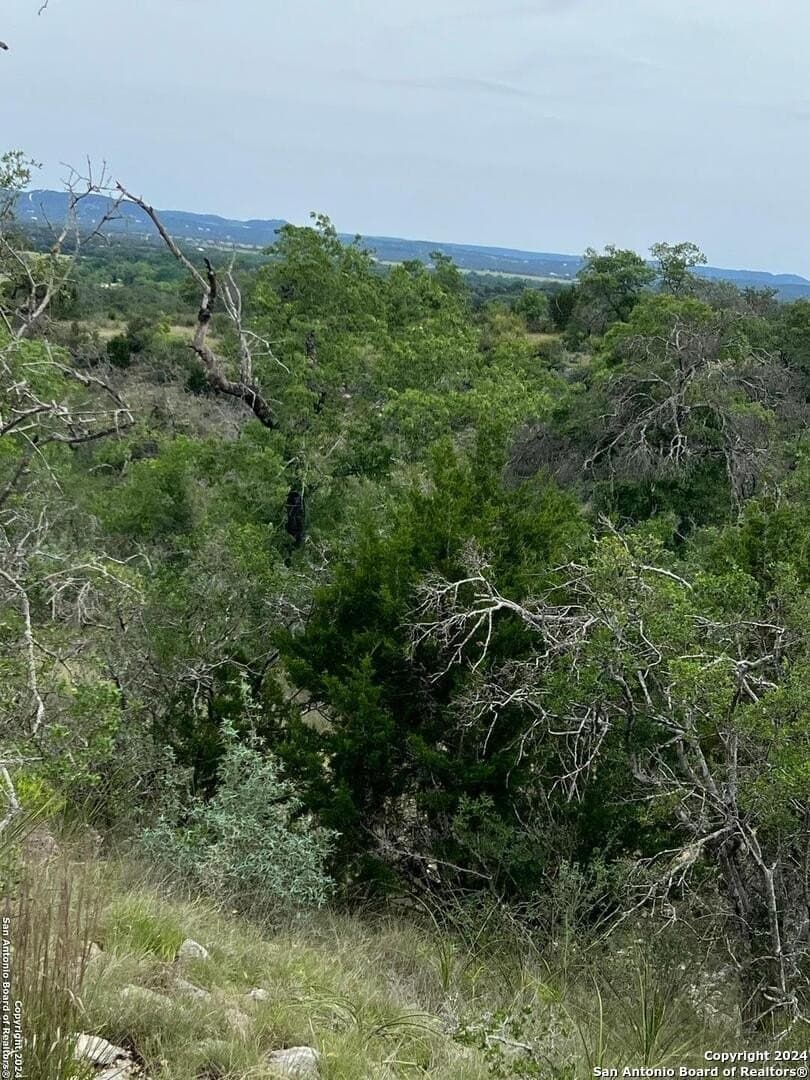 10.02 acres in Bandera County - photo 13