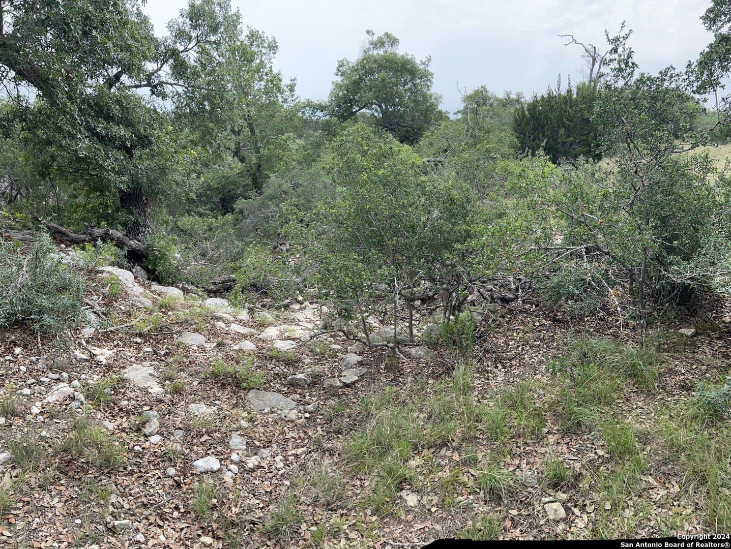 10.02 acres in Bandera County - photo 5