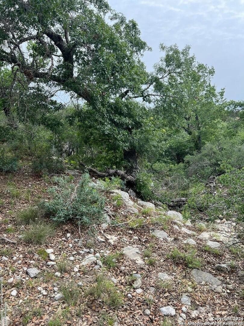10.02 acres in Bandera County - photo 12