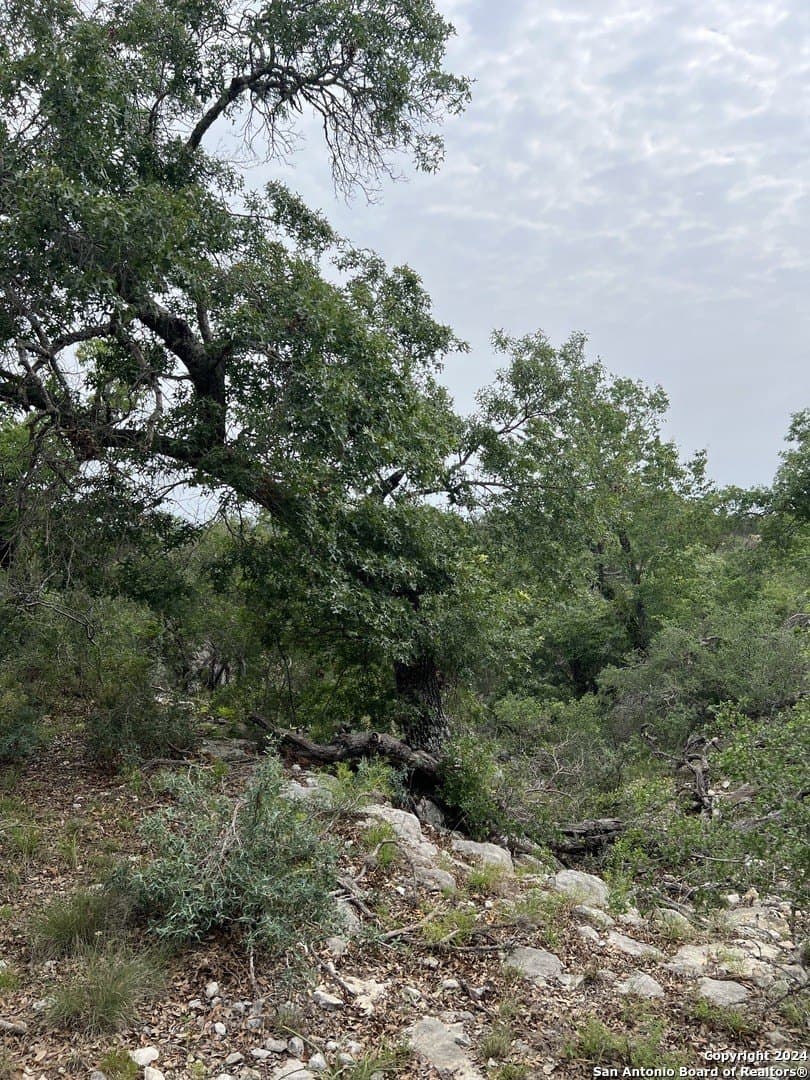 10.02 acres in Bandera County - photo 11