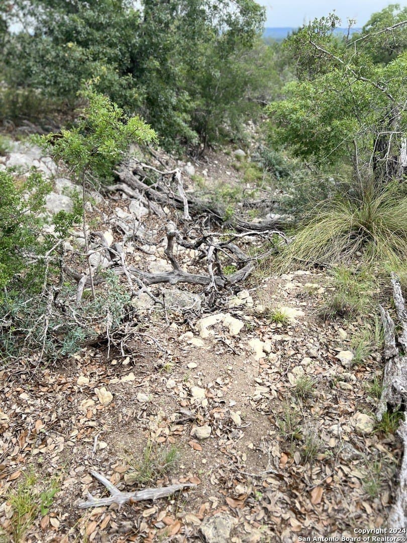 10.02 acres in Bandera County - photo 10