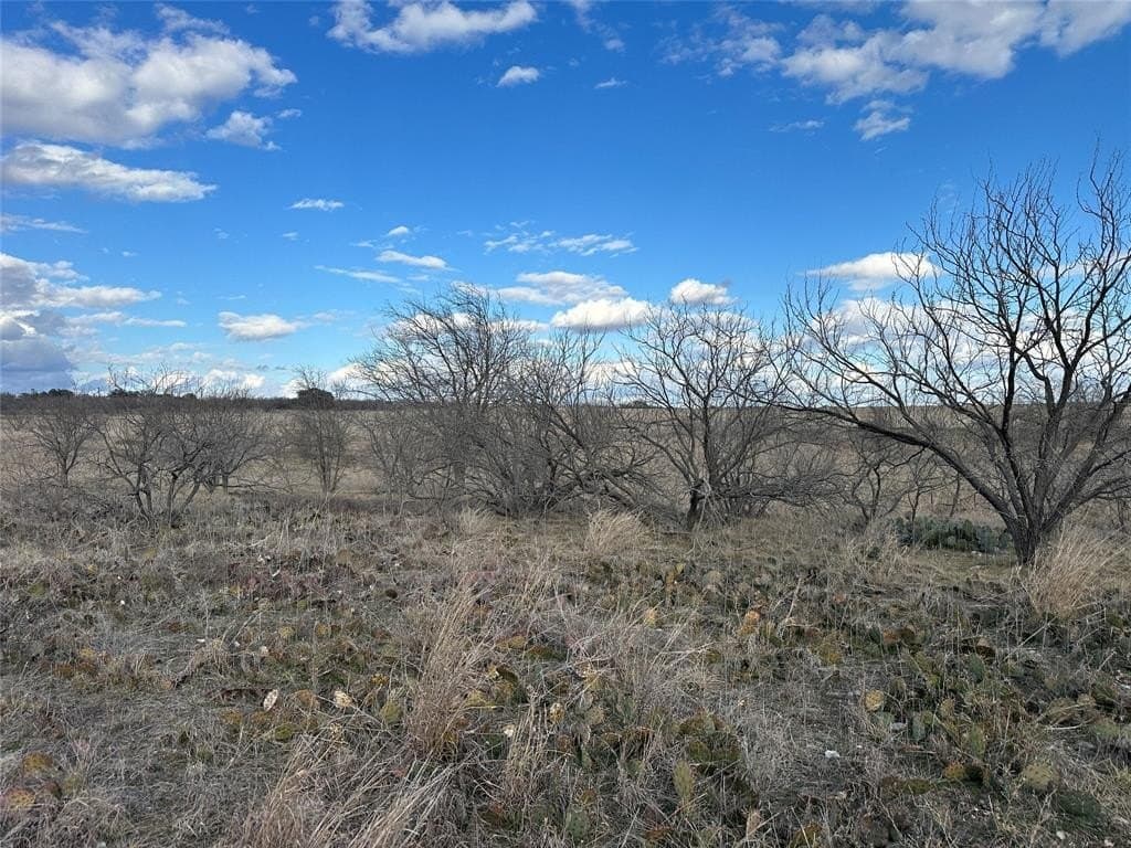 20 acres in Comanche County - photo 4