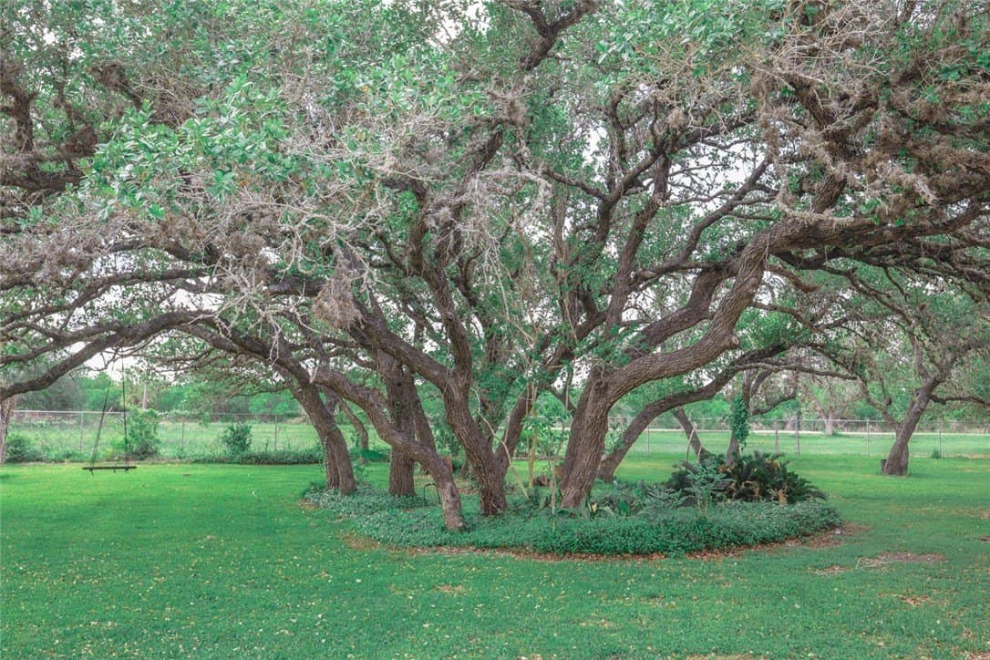 64 acres in Refugio County - photo 26