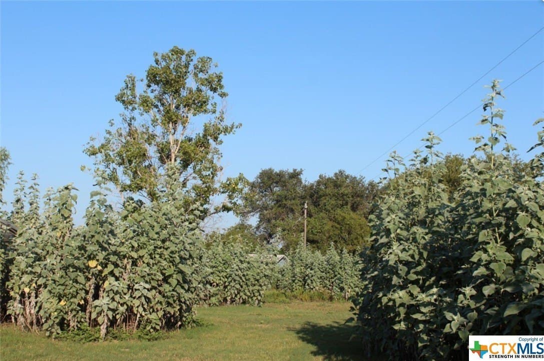 1 acres in Gonzales County - photo 14
