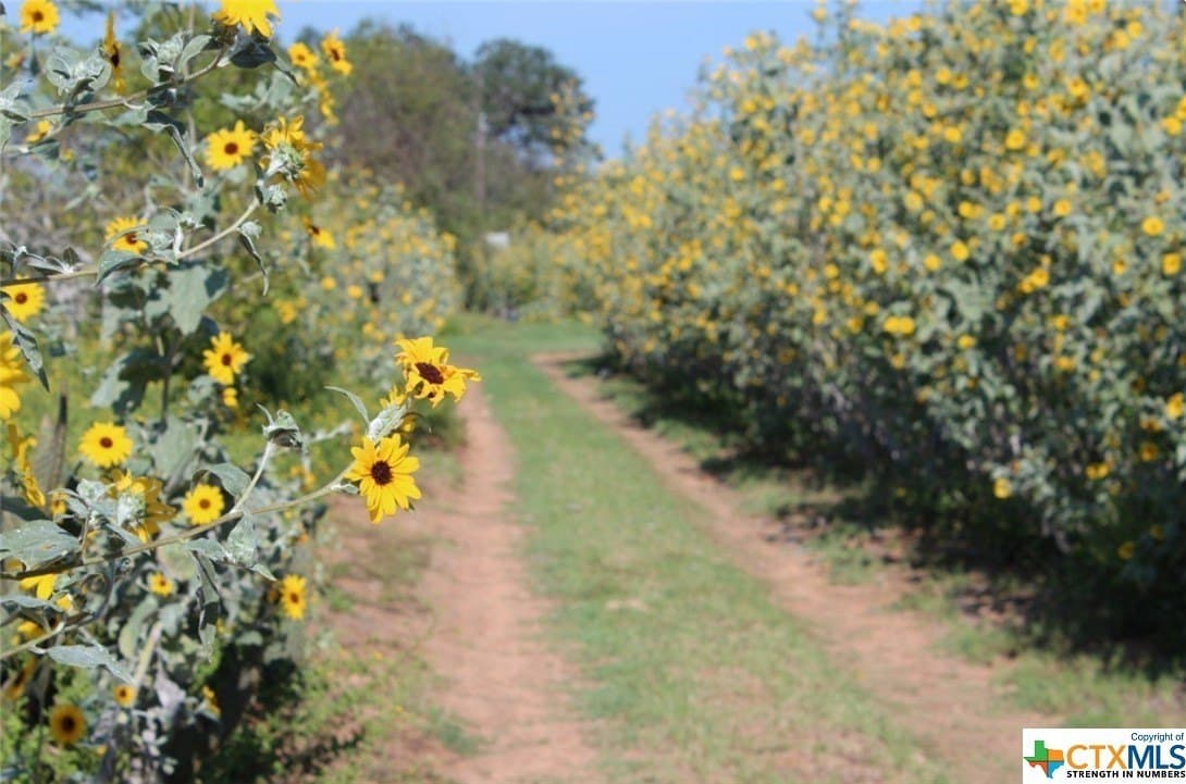 1 acres in Gonzales County - photo 7