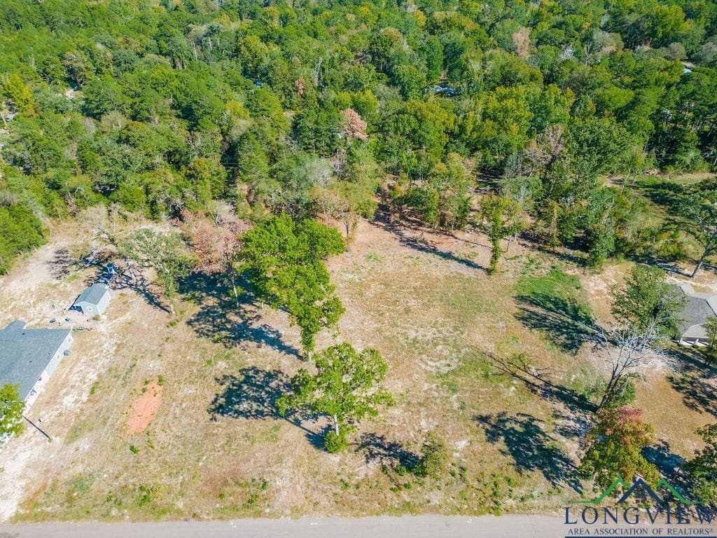 0.71 acres in Texas County - photo 4