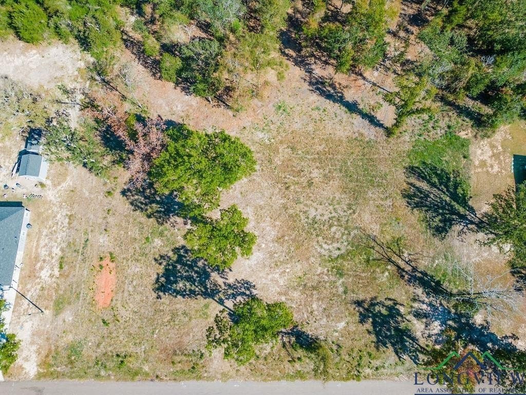 0.71 acres in Texas County - photo 2