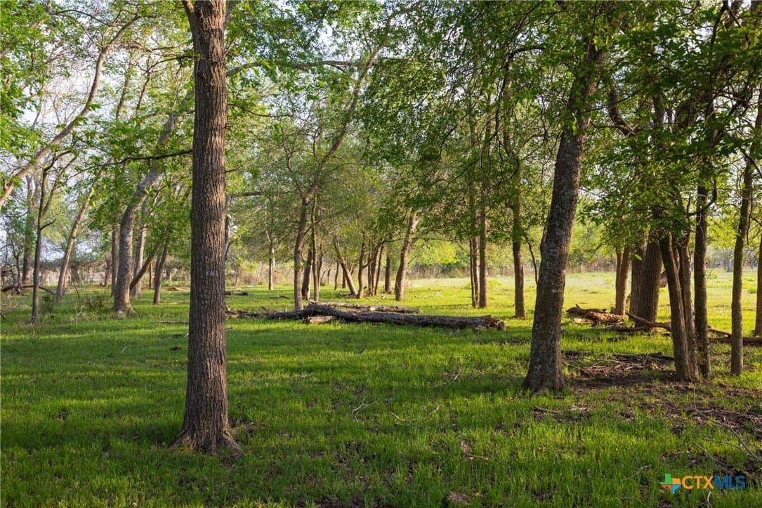 120 acres in Guadalupe County - photo 4