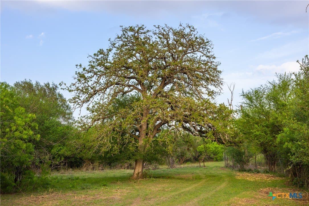 120 acres in Guadalupe County - photo 6
