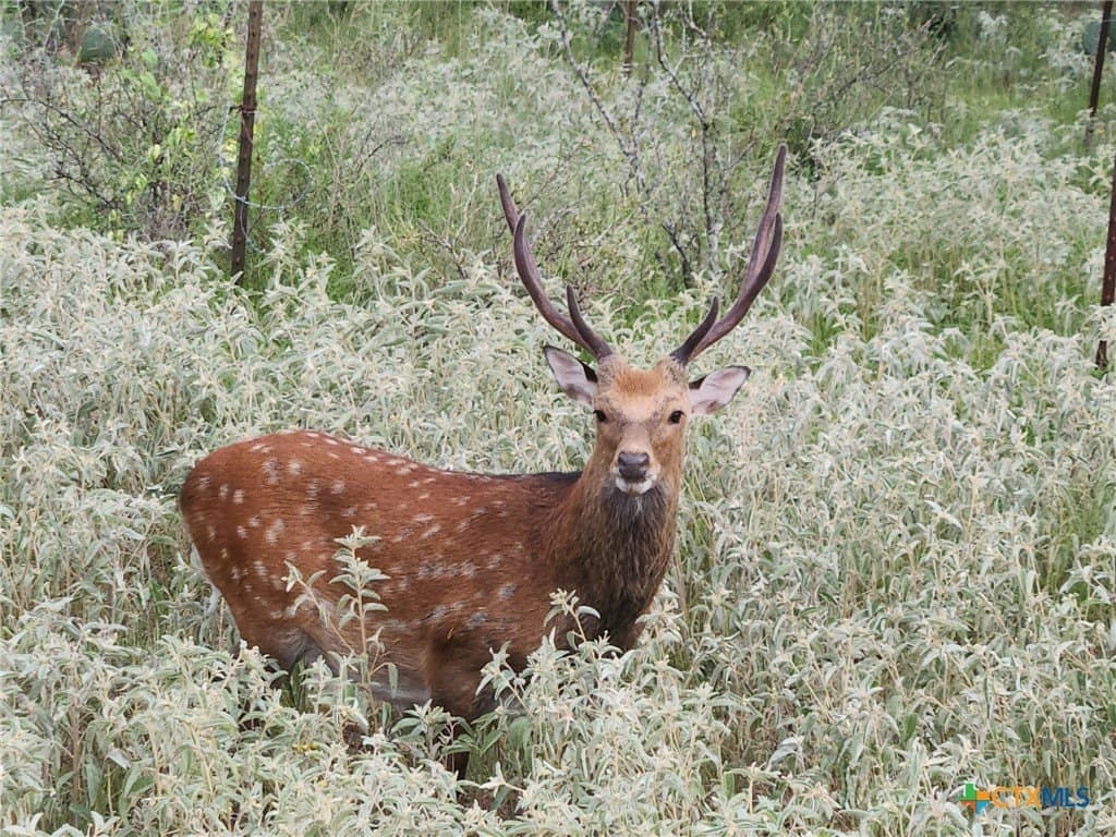 120 acres in Guadalupe County - photo 30