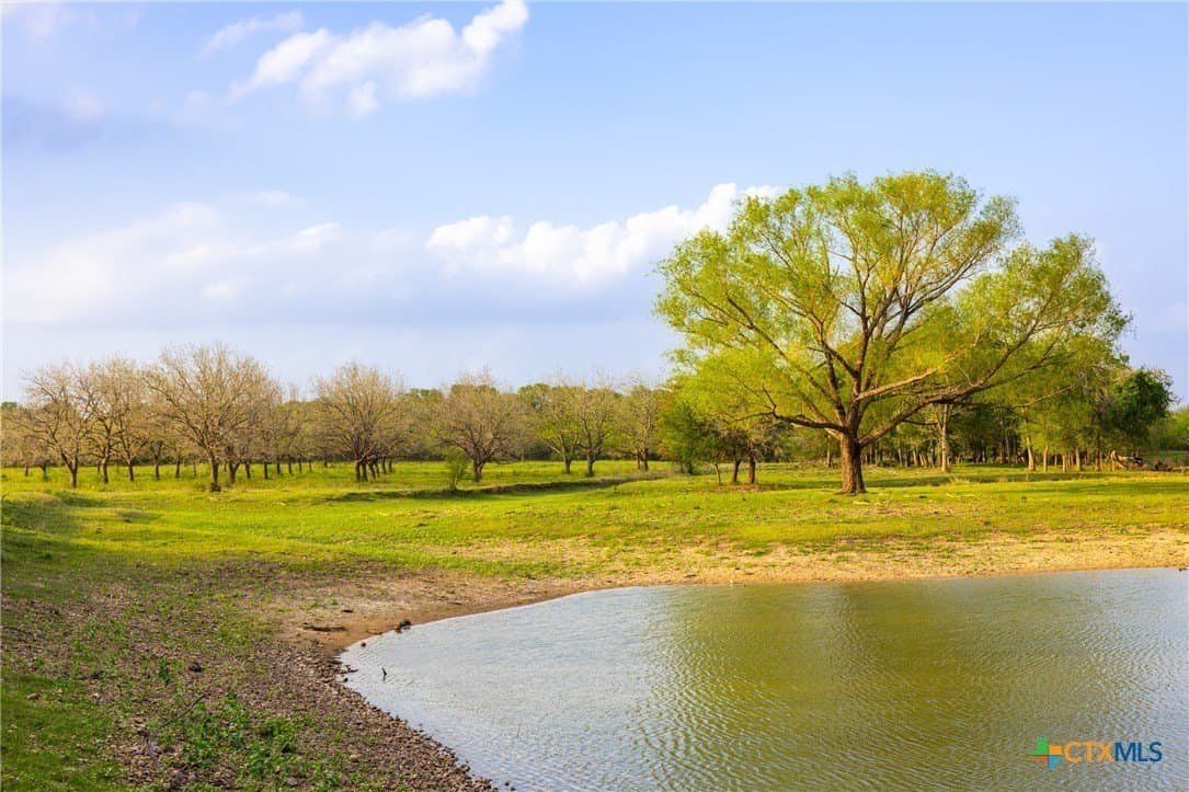 120 acres in Guadalupe County - photo 11