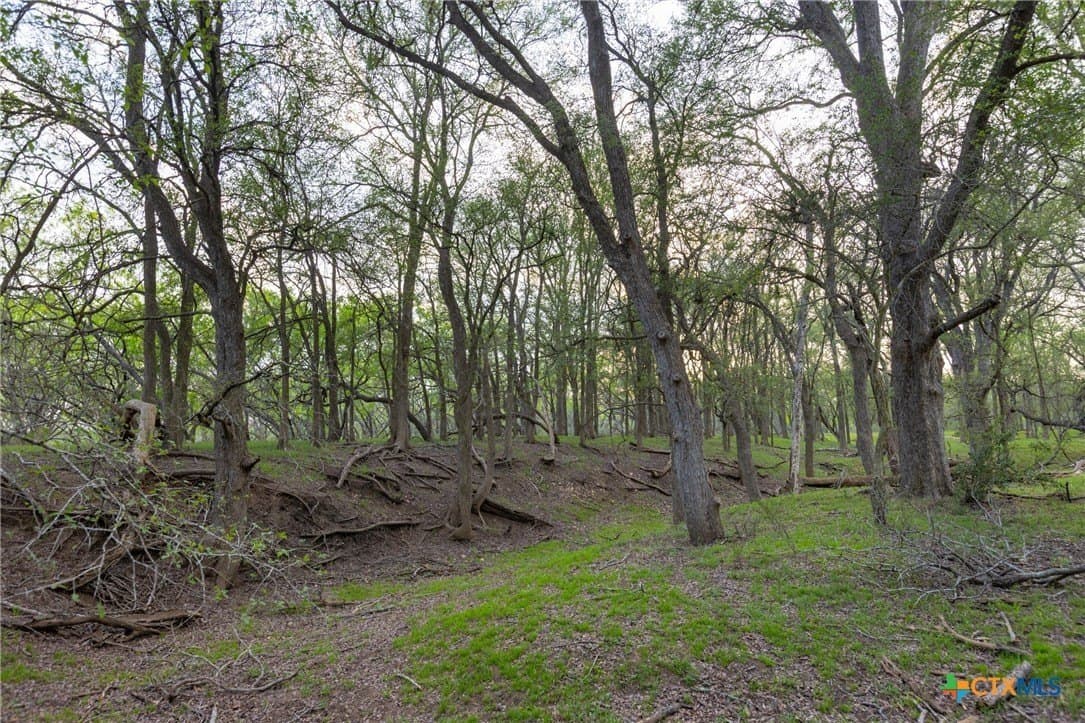 120 acres in Guadalupe County - photo 15