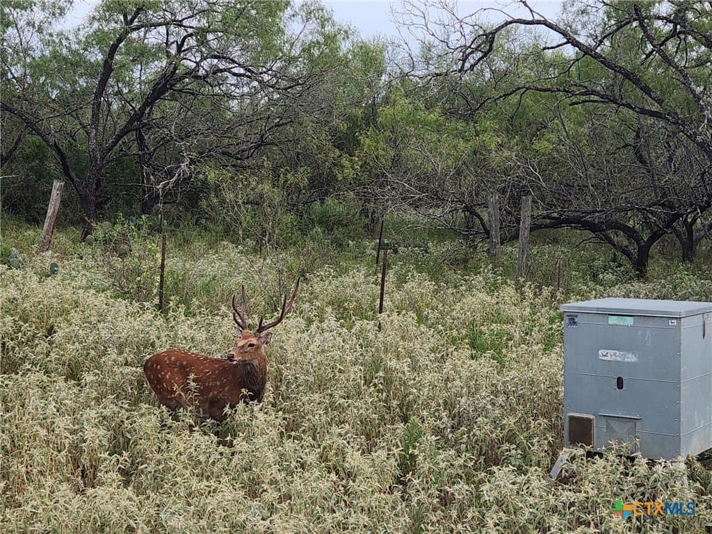 120 acres in Guadalupe County - photo 27