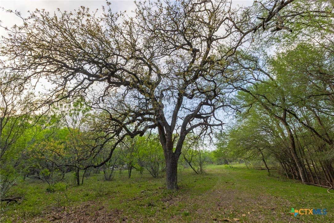 120 acres in Guadalupe County - photo 16
