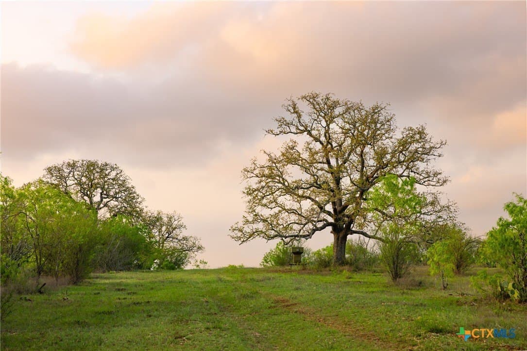 120 acres in Guadalupe County - photo 9