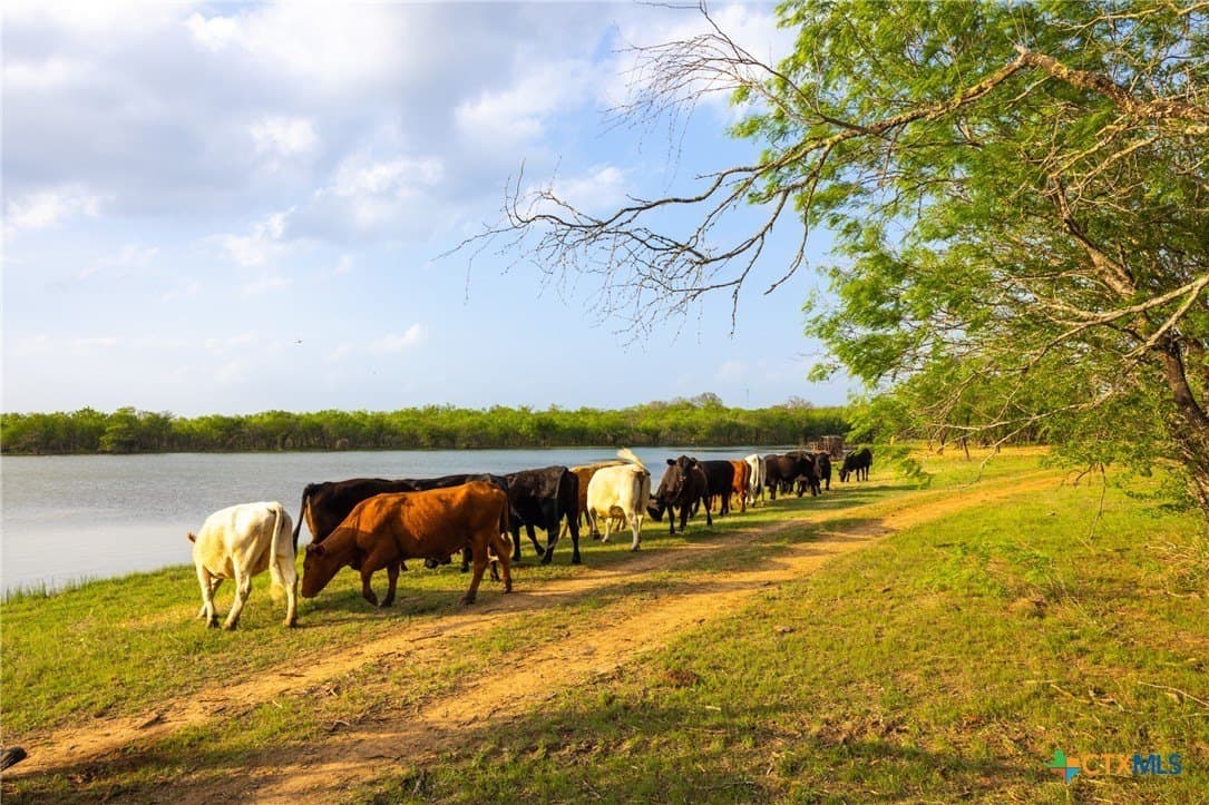 120 acres in Guadalupe County - photo 8