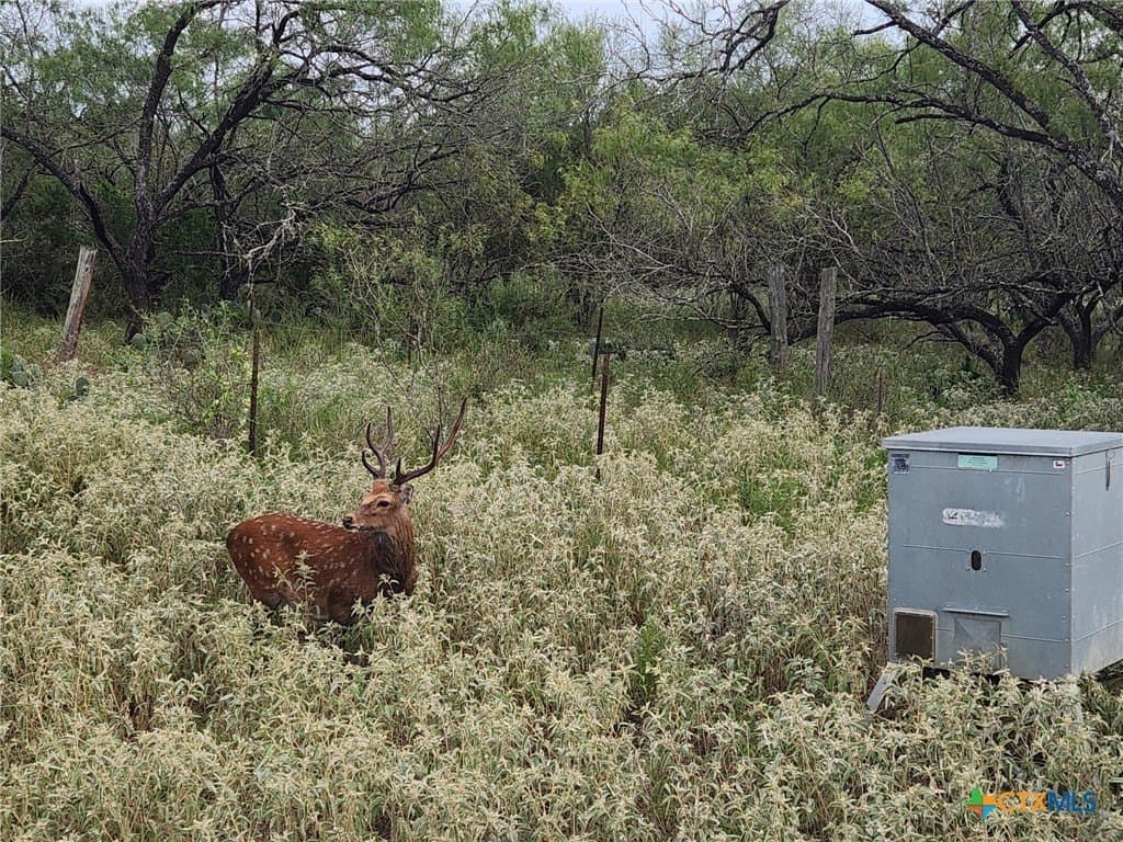 120 acres in Guadalupe County - photo 18