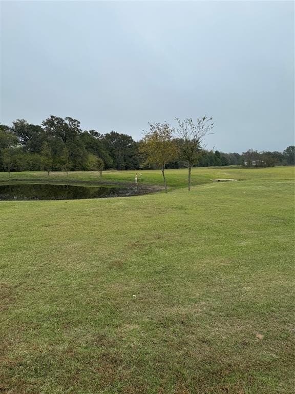10.5 acres in Van Zandt County - photo 37