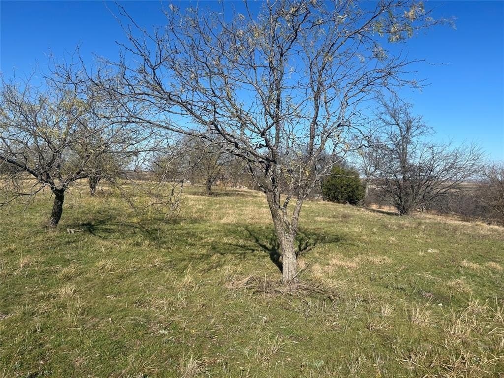 2.57 acres in Parker County - photo 14