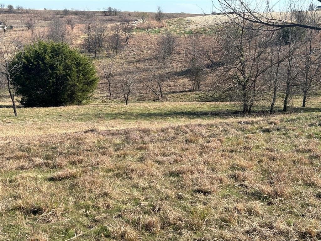 2.57 acres in Parker County - photo 16