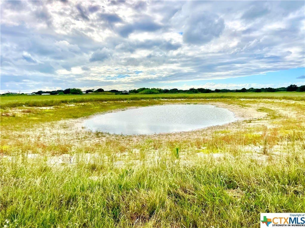 10 acres in Calhoun County - photo 3