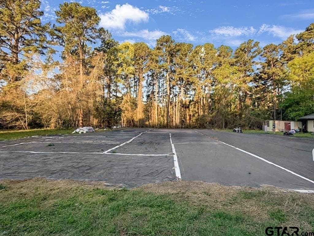 0.15 acres in Cherokee County - photo 4