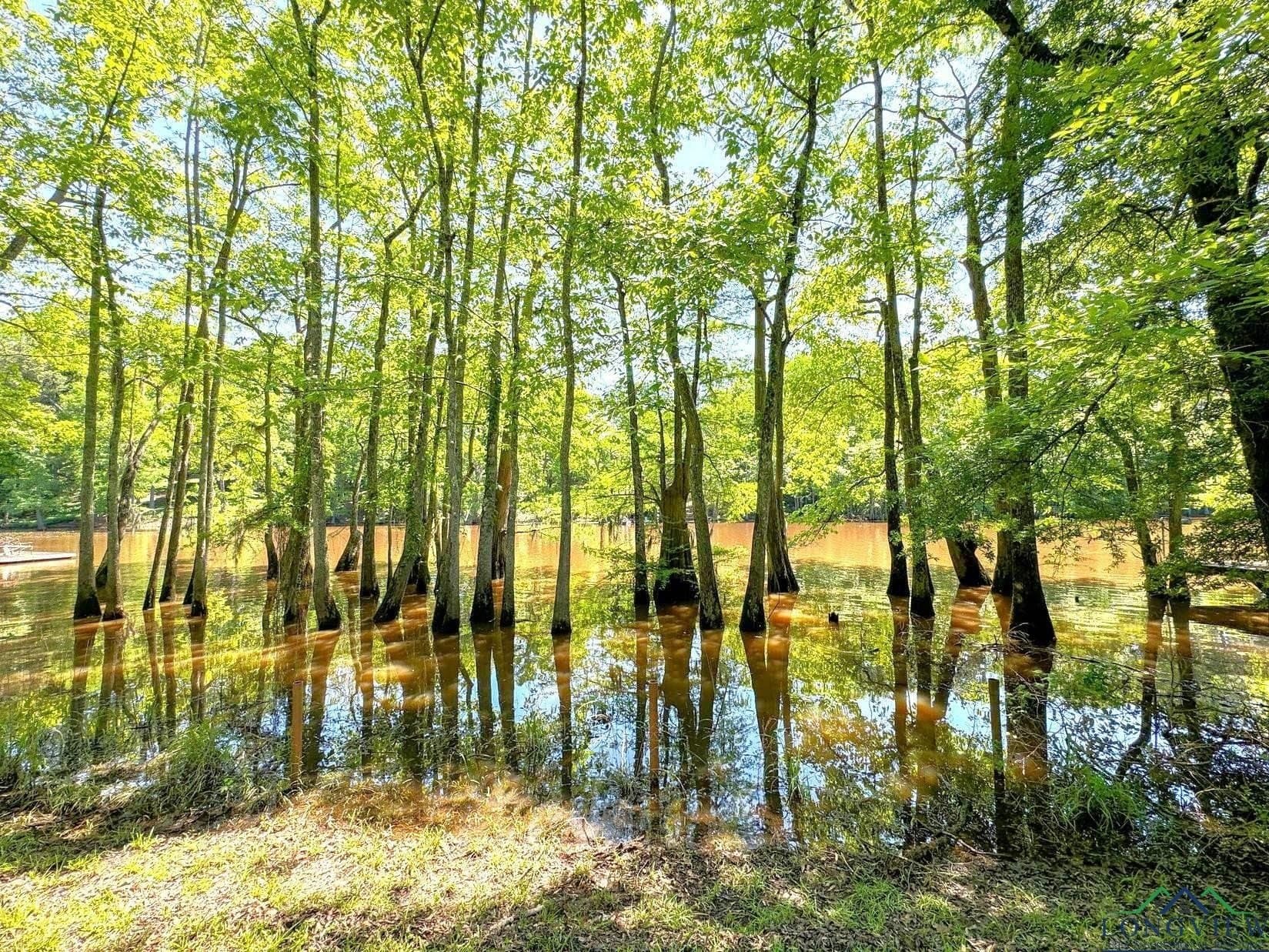 27.51 acres in Marion County - photo 44