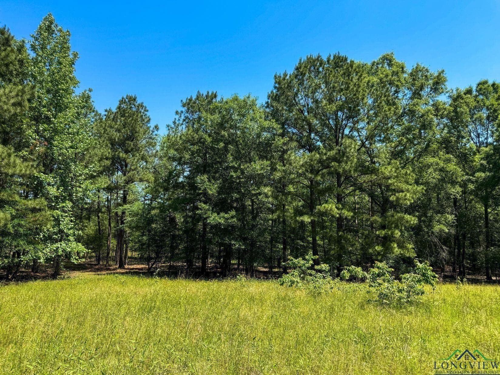 27.51 acres in Marion County - photo 50