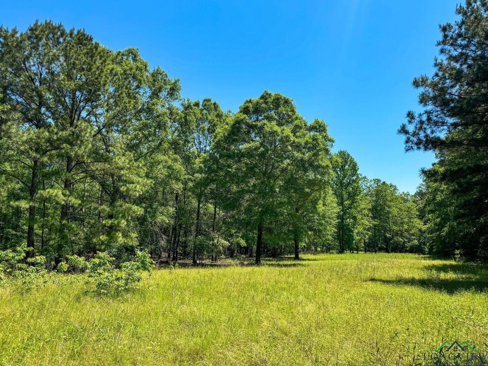 27.51 acres in Marion County - photo 49