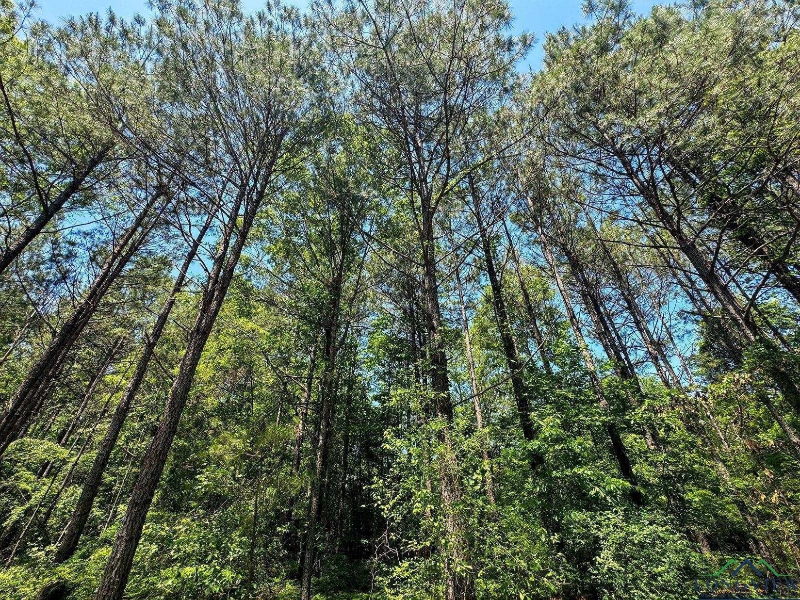 27.51 acres in Marion County - photo 46