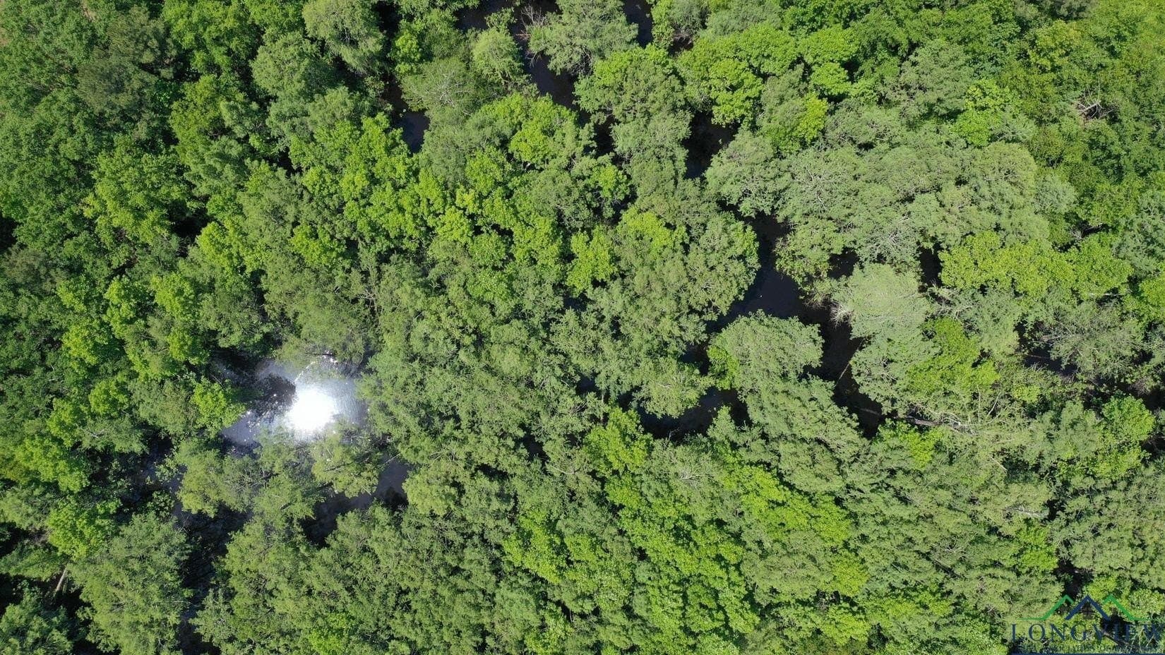 27.51 acres in Marion County - photo 43