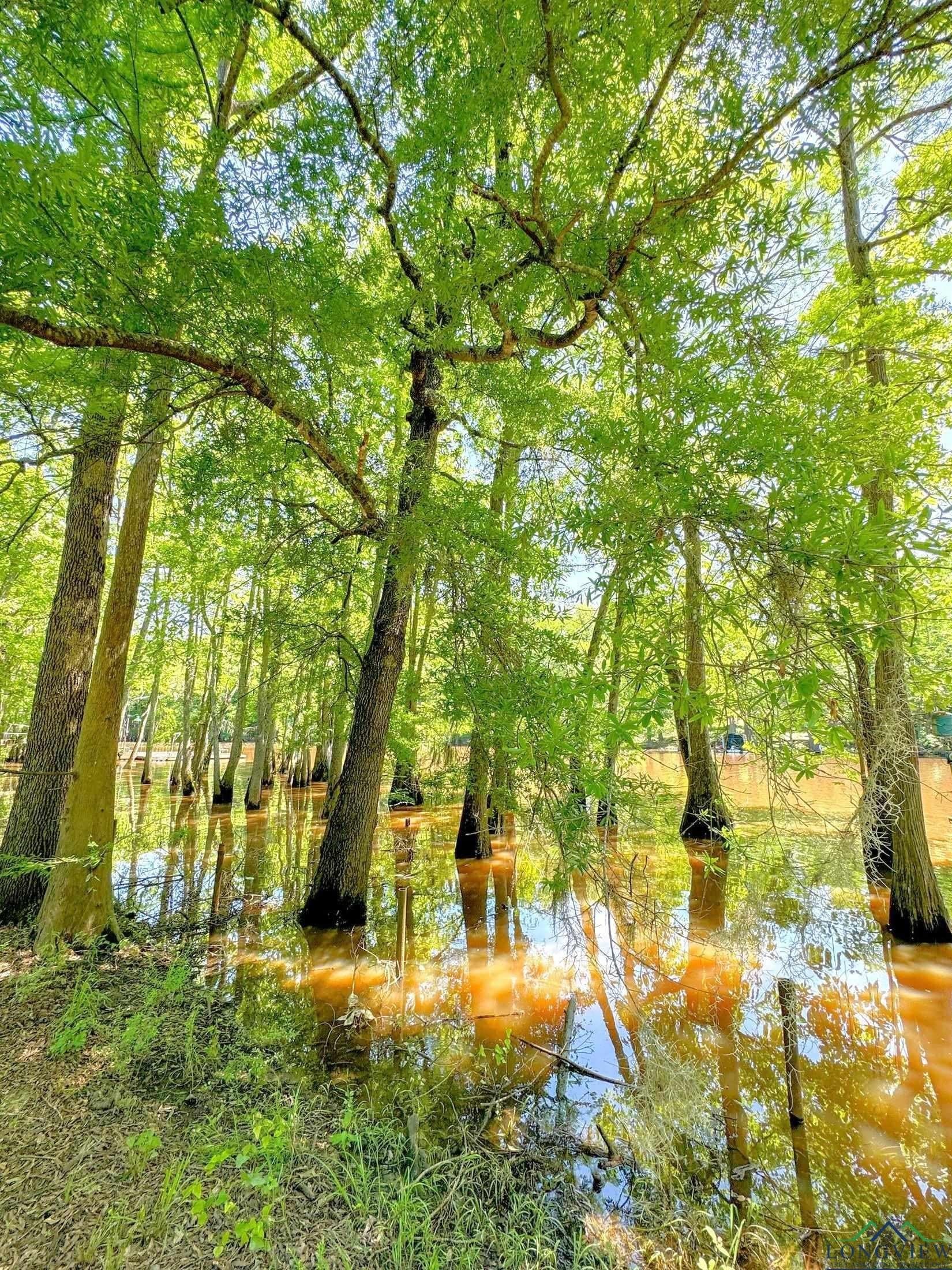 27.51 acres in Marion County - photo 45
