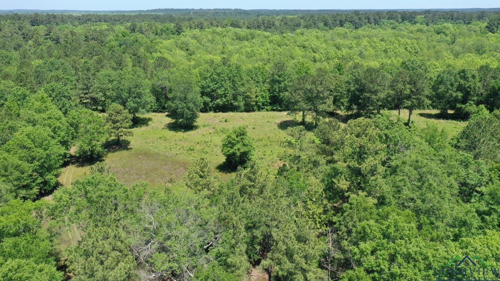 27.51 acres in Marion County - photo 40