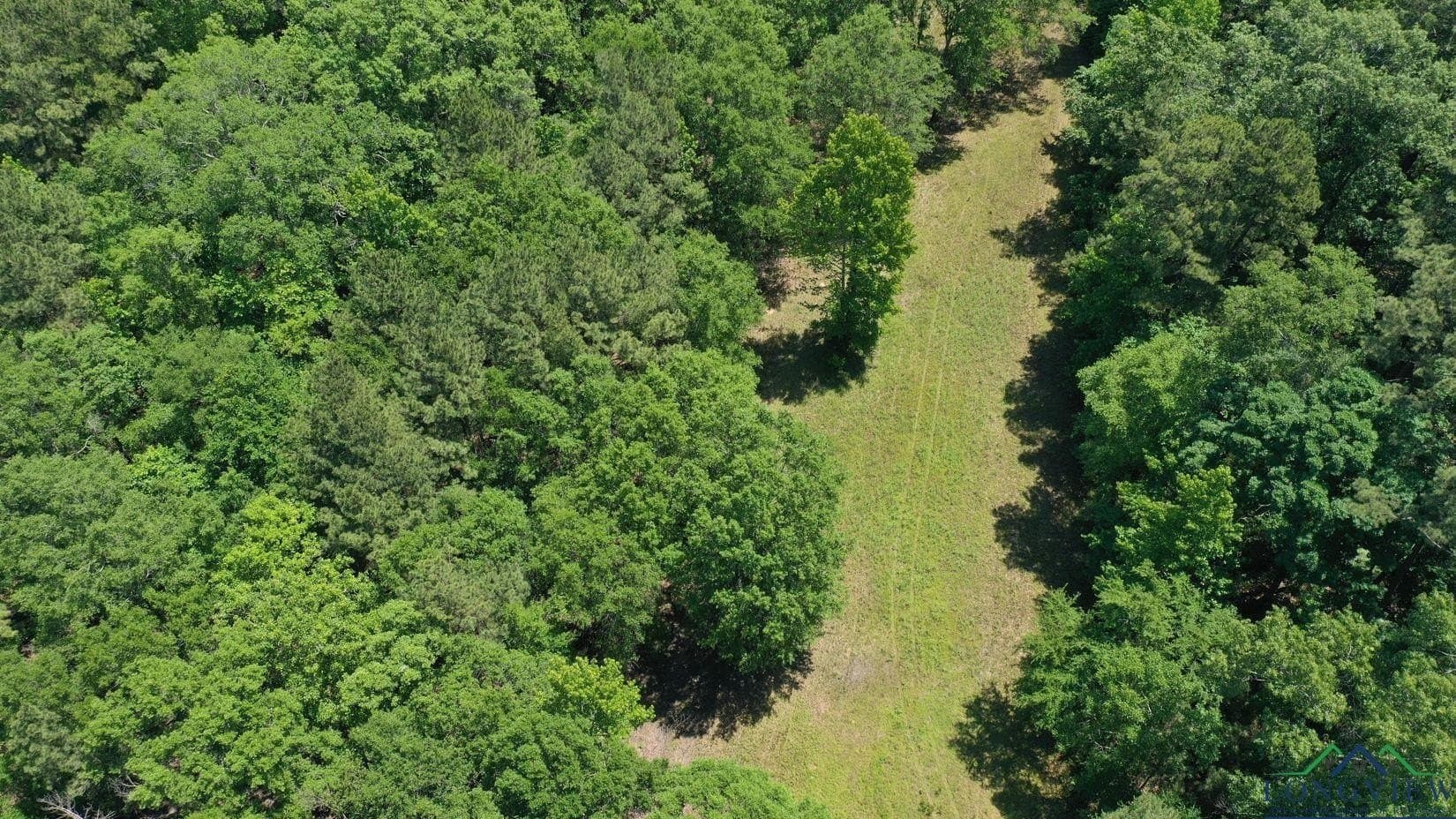 27.51 acres in Marion County - photo 41