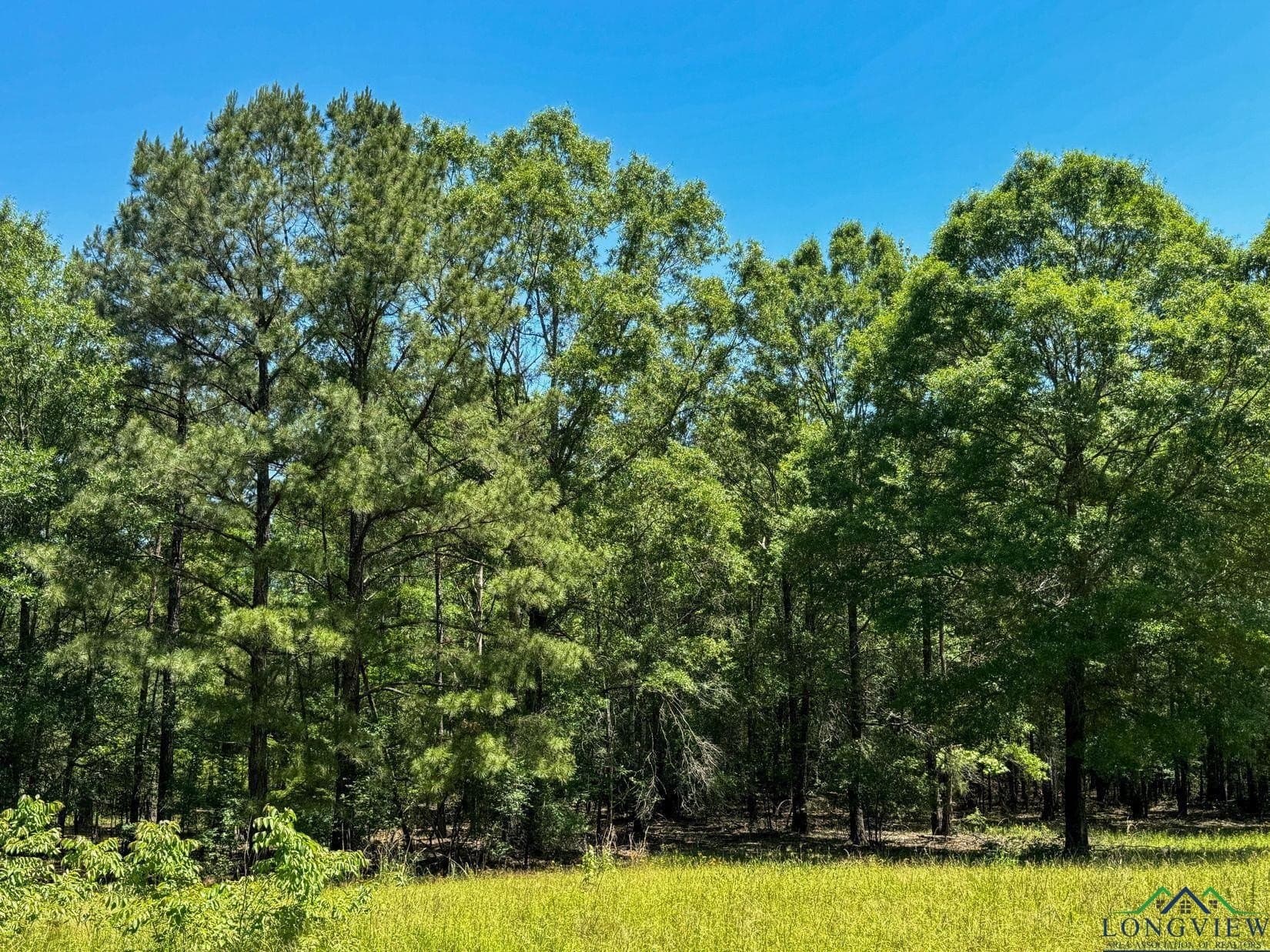 27.51 acres in Marion County - photo 47