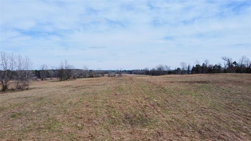146.33 acres in Cass County - photo 10