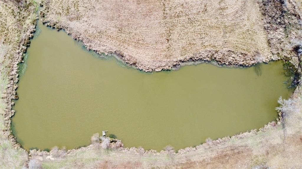 146.33 acres in Cass County - photo 2