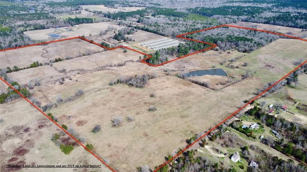 146.33 acres in Cass County - photo 14