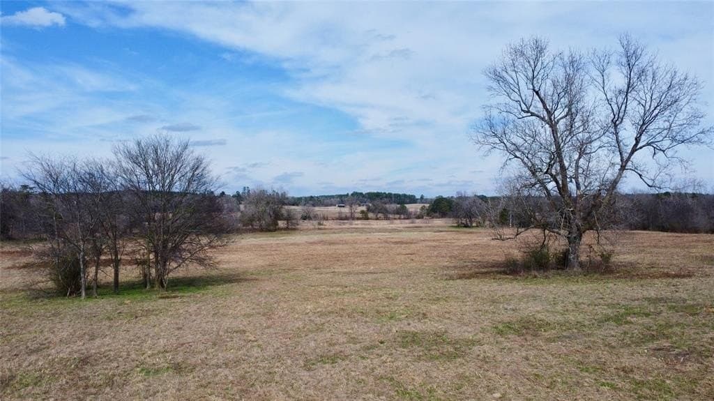 146.33 acres in Cass County - photo 9