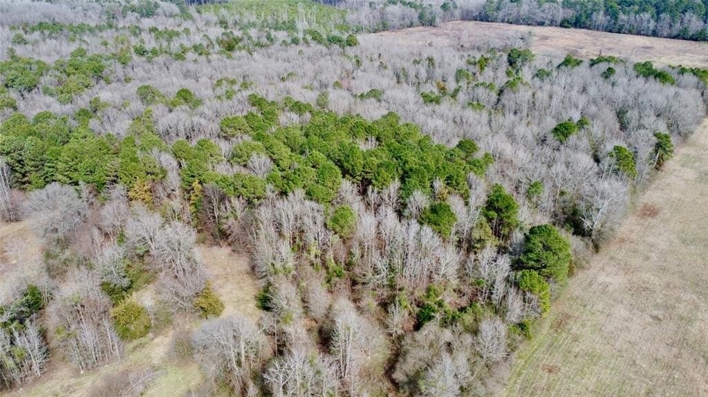 146.33 acres in Cass County - photo 11