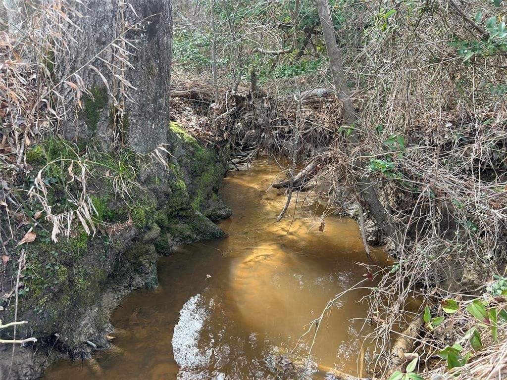 146.33 acres in Cass County - photo 16