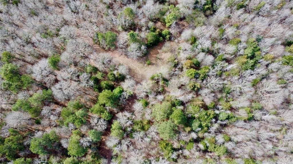 146.33 acres in Cass County - photo 5