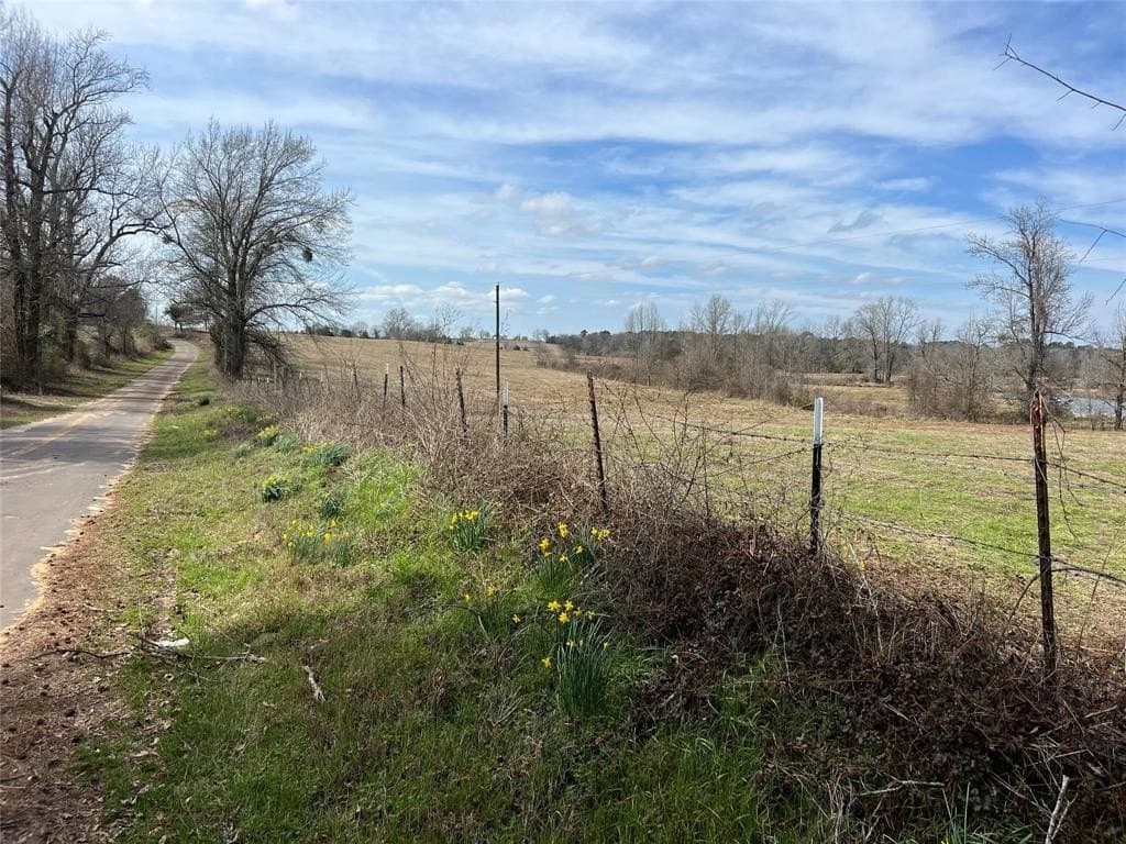 146.33 acres in Cass County - photo 17