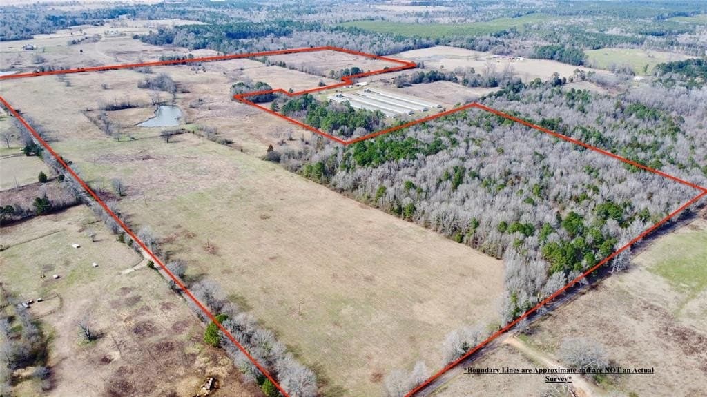 146.33 acres in Cass County - photo 4