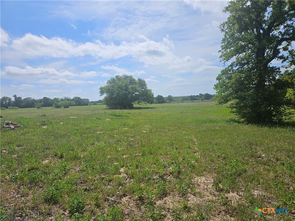 84 acres in Milam County - photo 5