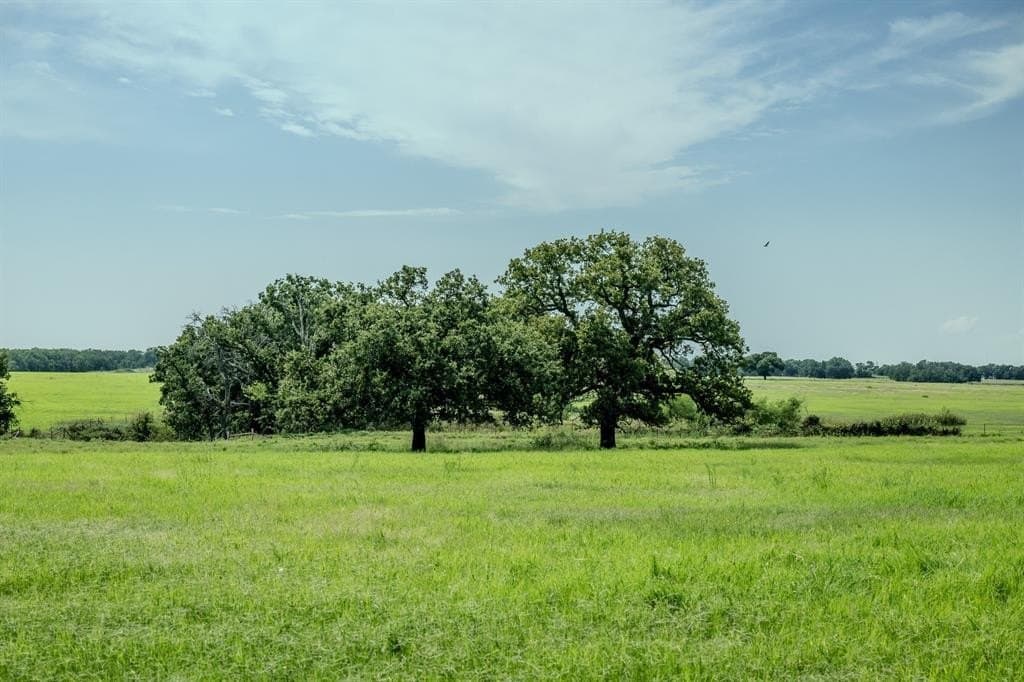 537 acres in Clay County - photo 22