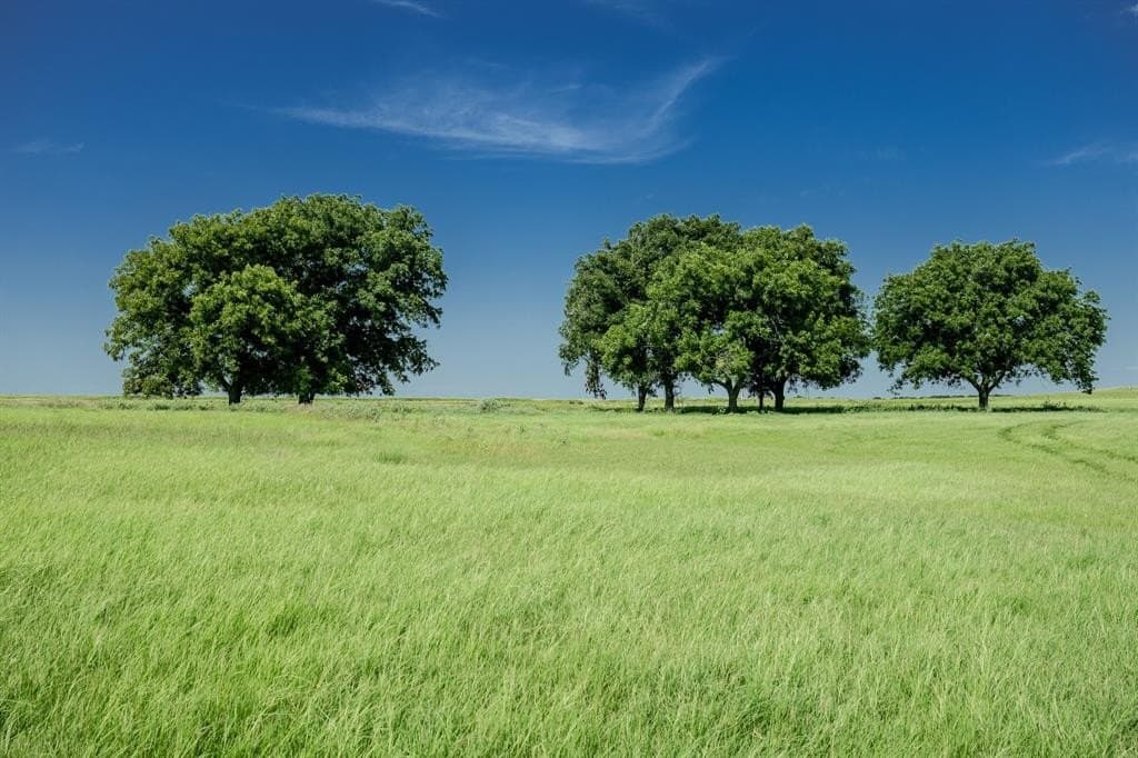 537 acres in Clay County - photo 16