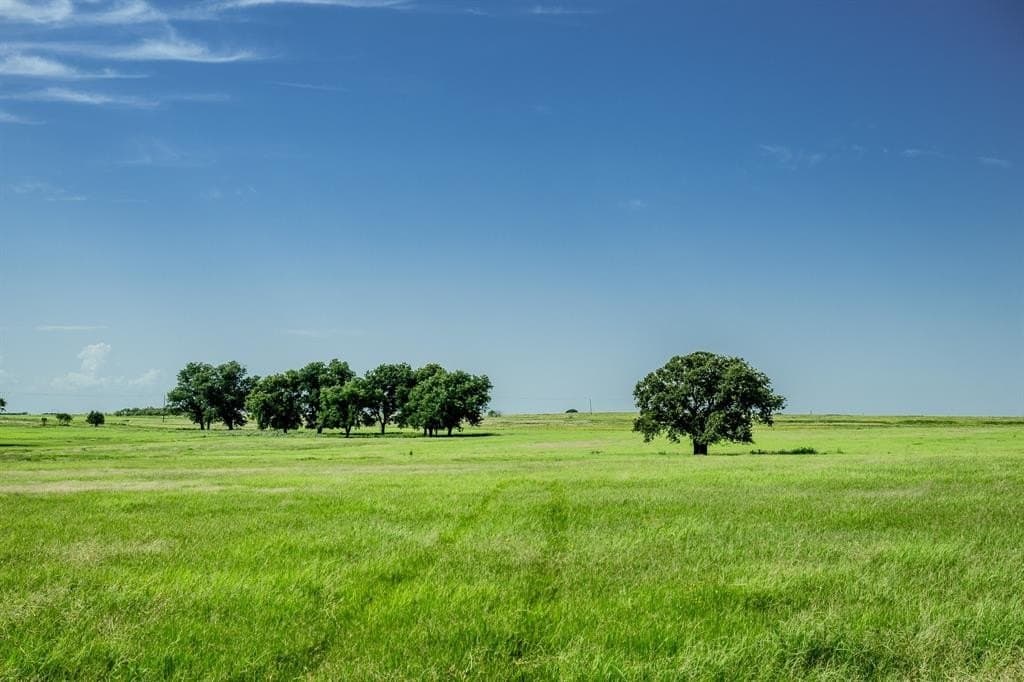 537 acres in Clay County - photo 13
