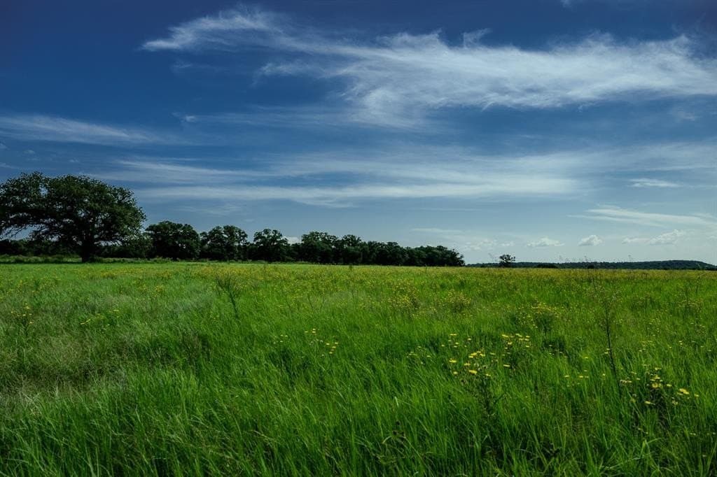 537 acres in Clay County - photo 10